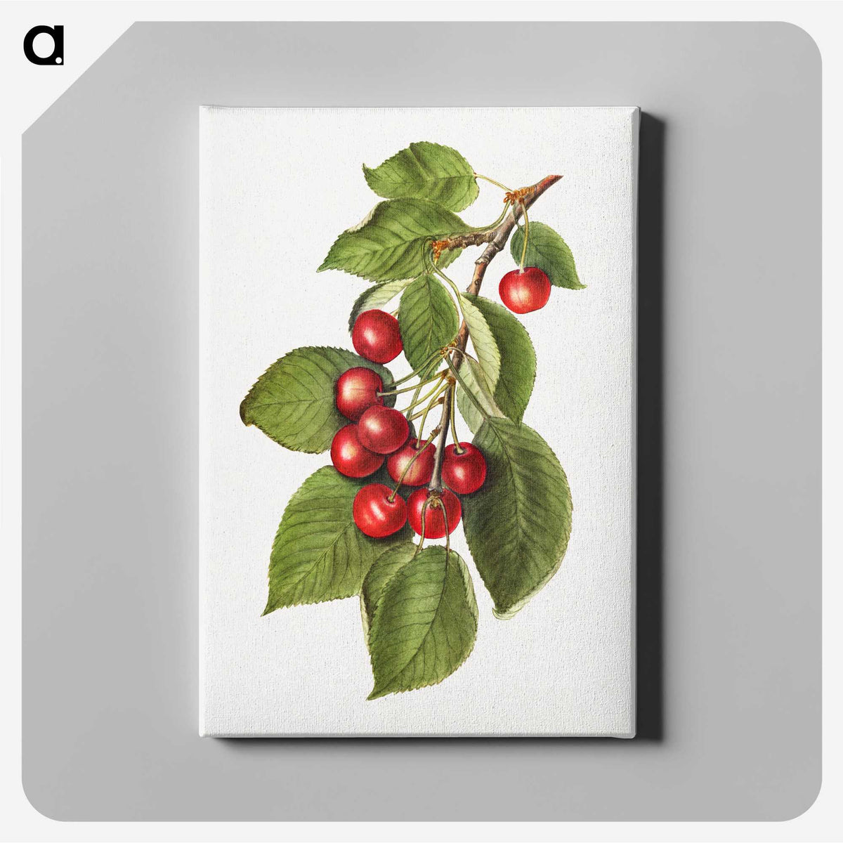 2-8_USDA-Watercolor-Fruit-Painting-Collection_canvas
