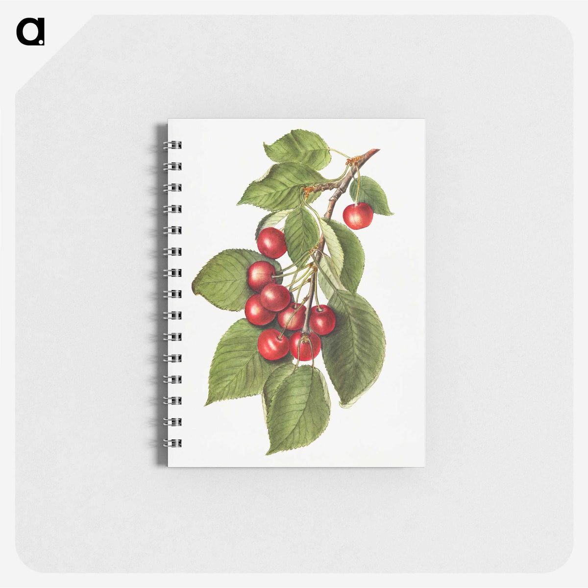 2-8_USDA-Watercolor-Fruit-Painting-Collection_memo