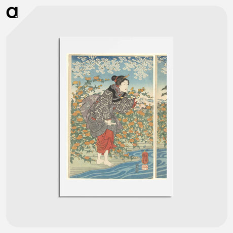 アートポストカード-De Ide Tama rivier in de provincie Yamashiro - 歌川 国芳 Postcard.