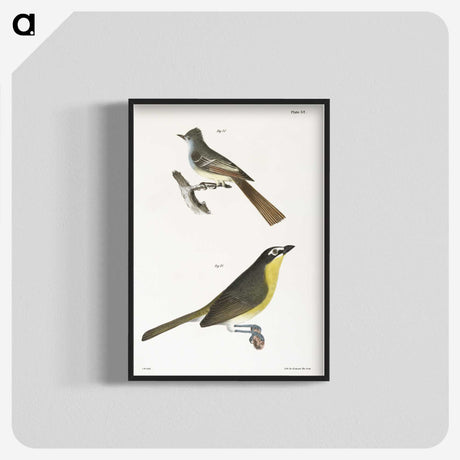 2-8_Zoology-of-New-York_blk-crop