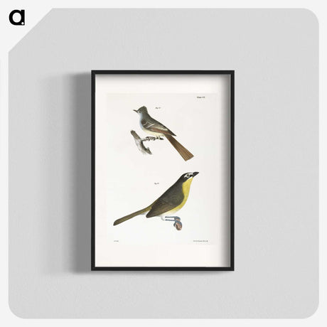 2-8_Zoology-of-New-York_blk