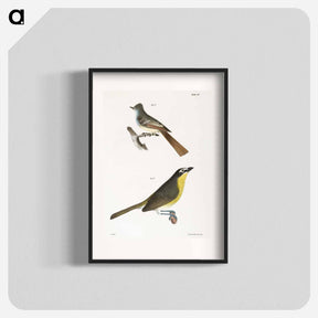 アートポスター-The Great-crested Kingbird - ニューヨークの動物学 Poster.