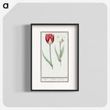 2-90_Anselmus-Boetius-de-Boodt_blk
