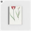 2-90_Anselmus-Boetius-de-Boodt_memo