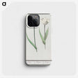 2-90_Anselmus-Boetius-de-Boodt_phone