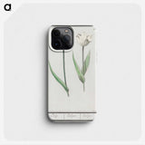 2-90_Anselmus-Boetius-de-Boodt_phone