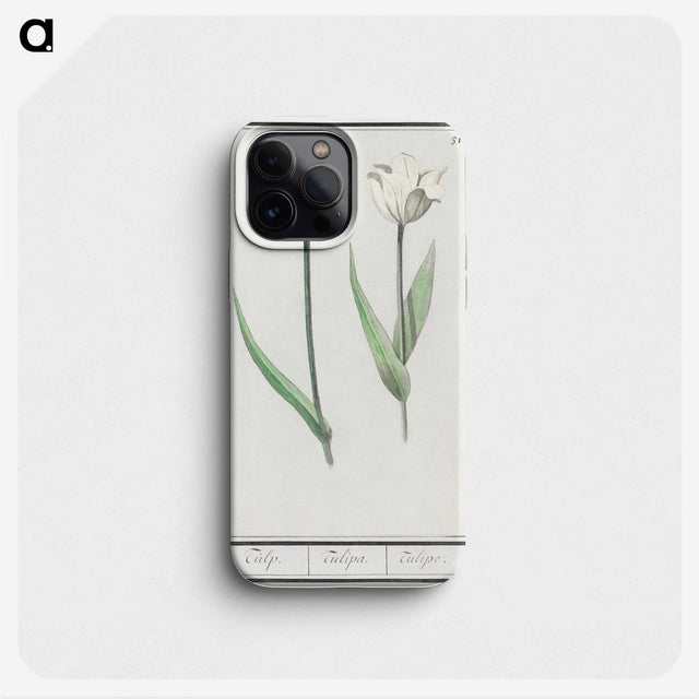 2-90_Anselmus-Boetius-de-Boodt_phone