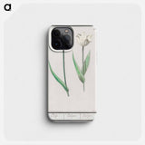 Tulip - アンセルムス ボエティウス デ ブート Phone Case.