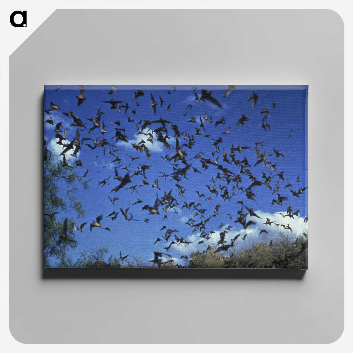 2-90_COVID-19_canvas