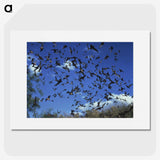 2-90_COVID-19_picture