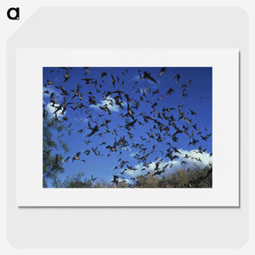 2-90_COVID-19_picture