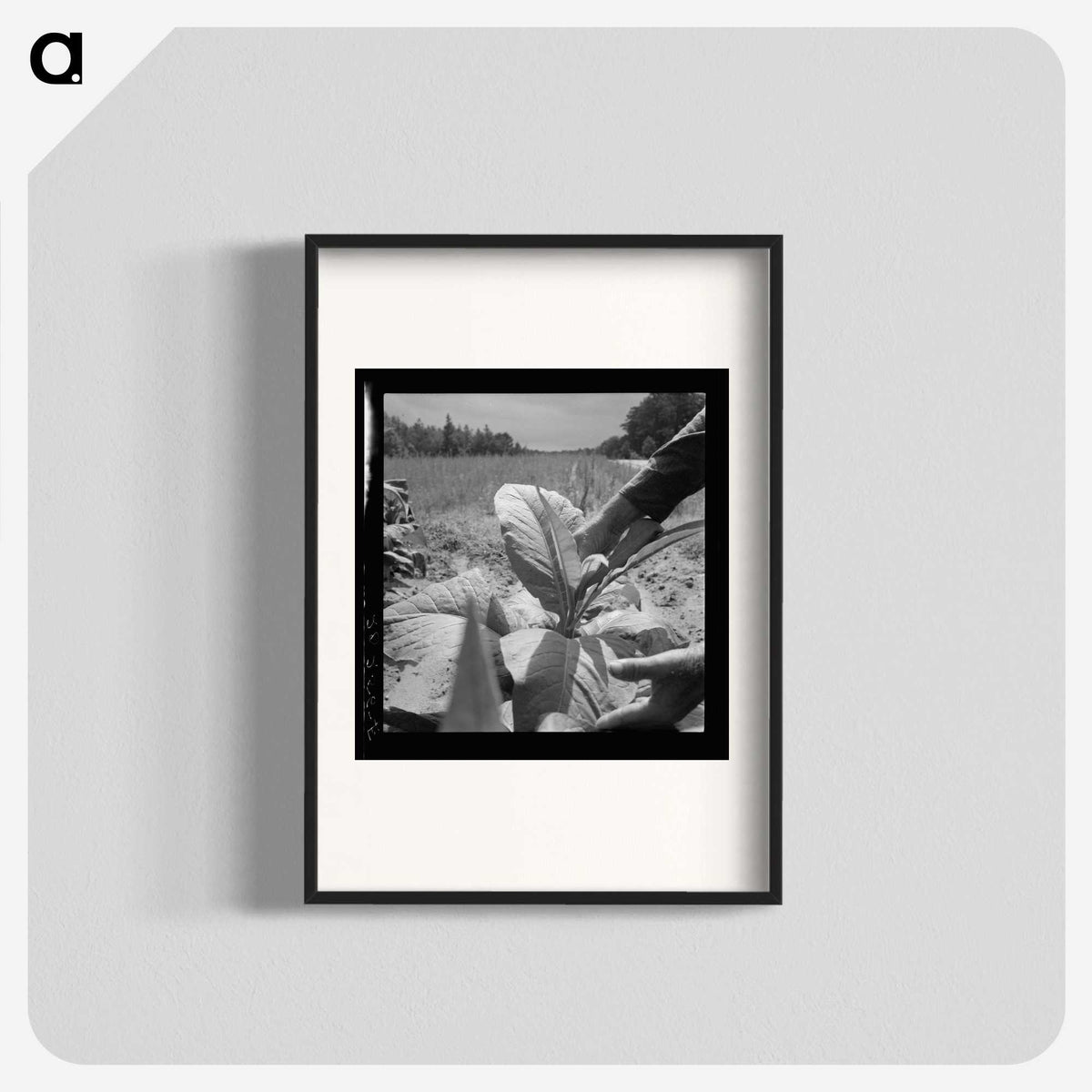 2-90_Dorothea-Lange_blk