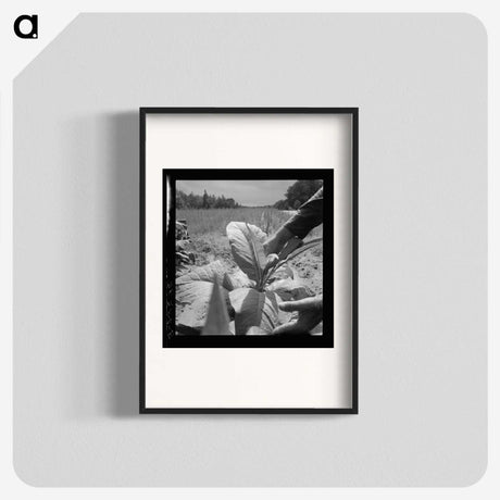 2-90_Dorothea-Lange_blk