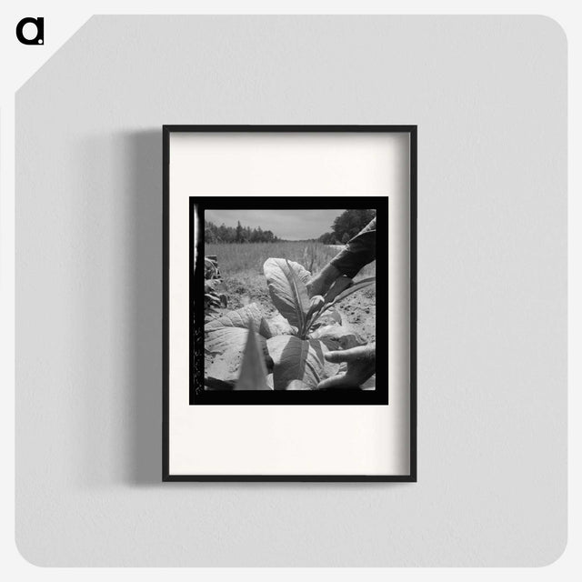 2-90_Dorothea-Lange_blk