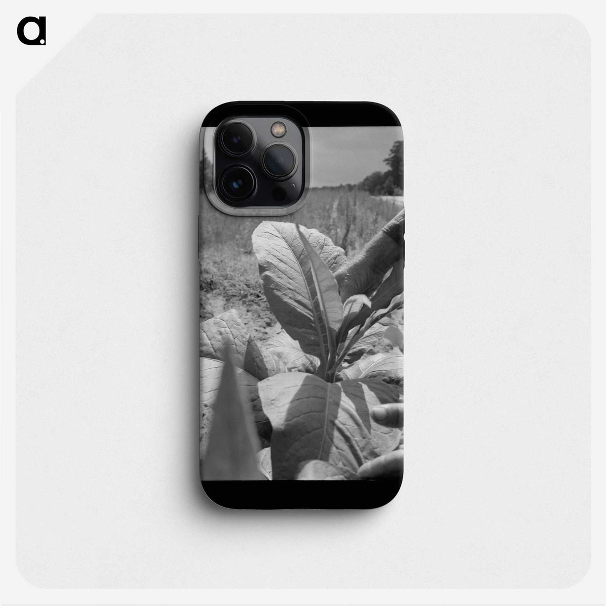2-90_Dorothea-Lange_phone