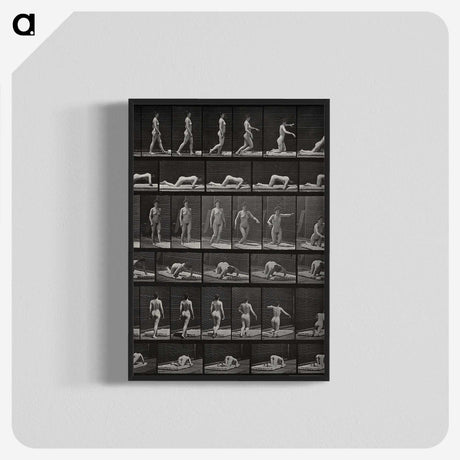 2-90_Eadweard-Muybridge_blk-crop