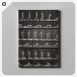 2-90_Eadweard-Muybridge_canvas
