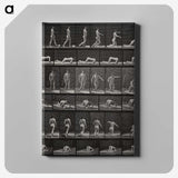 2-90_Eadweard-Muybridge_canvas