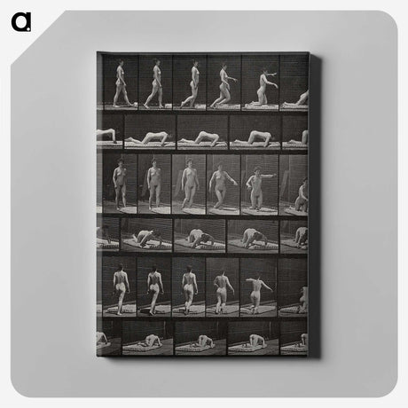 2-90_Eadweard-Muybridge_canvas