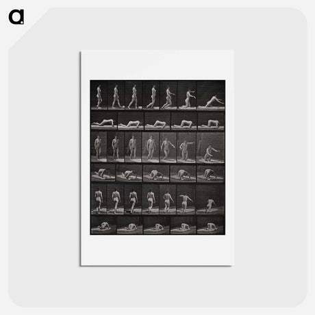 アートポストカード-Tripping
 - エドワード マイブリッジ Postcard.