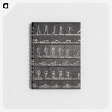2-90_Eadweard-Muybridge_memo