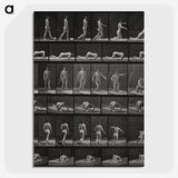 2-90_Eadweard-Muybridge_picture-crop