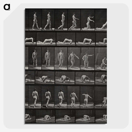 2-90_Eadweard-Muybridge_picture-crop