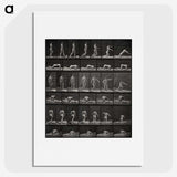 2-90_Eadweard-Muybridge_picture