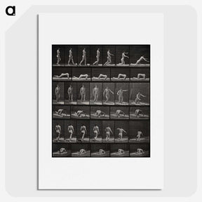2-90_Eadweard-Muybridge_picture