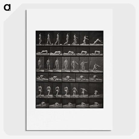 2-90_Eadweard-Muybridge_picture
