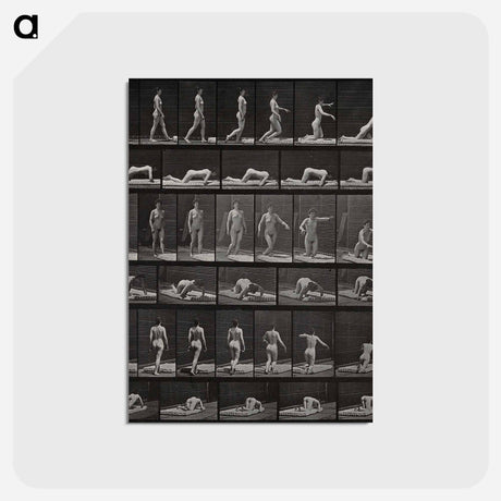 アートポストカード-Tripping
 - エドワード マイブリッジ Postcard.