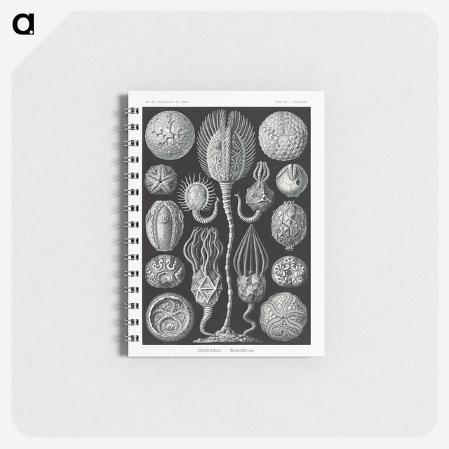2-90_Ernst-Haeckel_memo