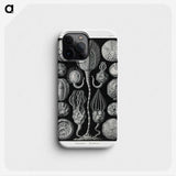2-90_Ernst-Haeckel_phone