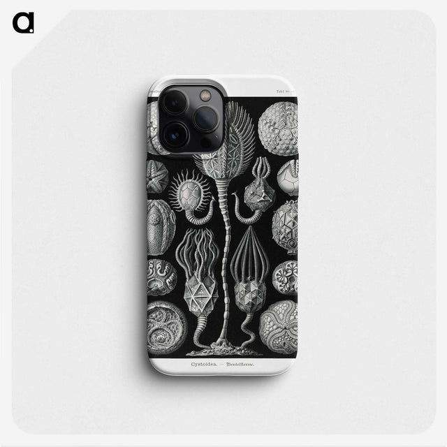 2-90_Ernst-Haeckel_phone