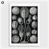 2-90_Ernst-Haeckel_picture-crop