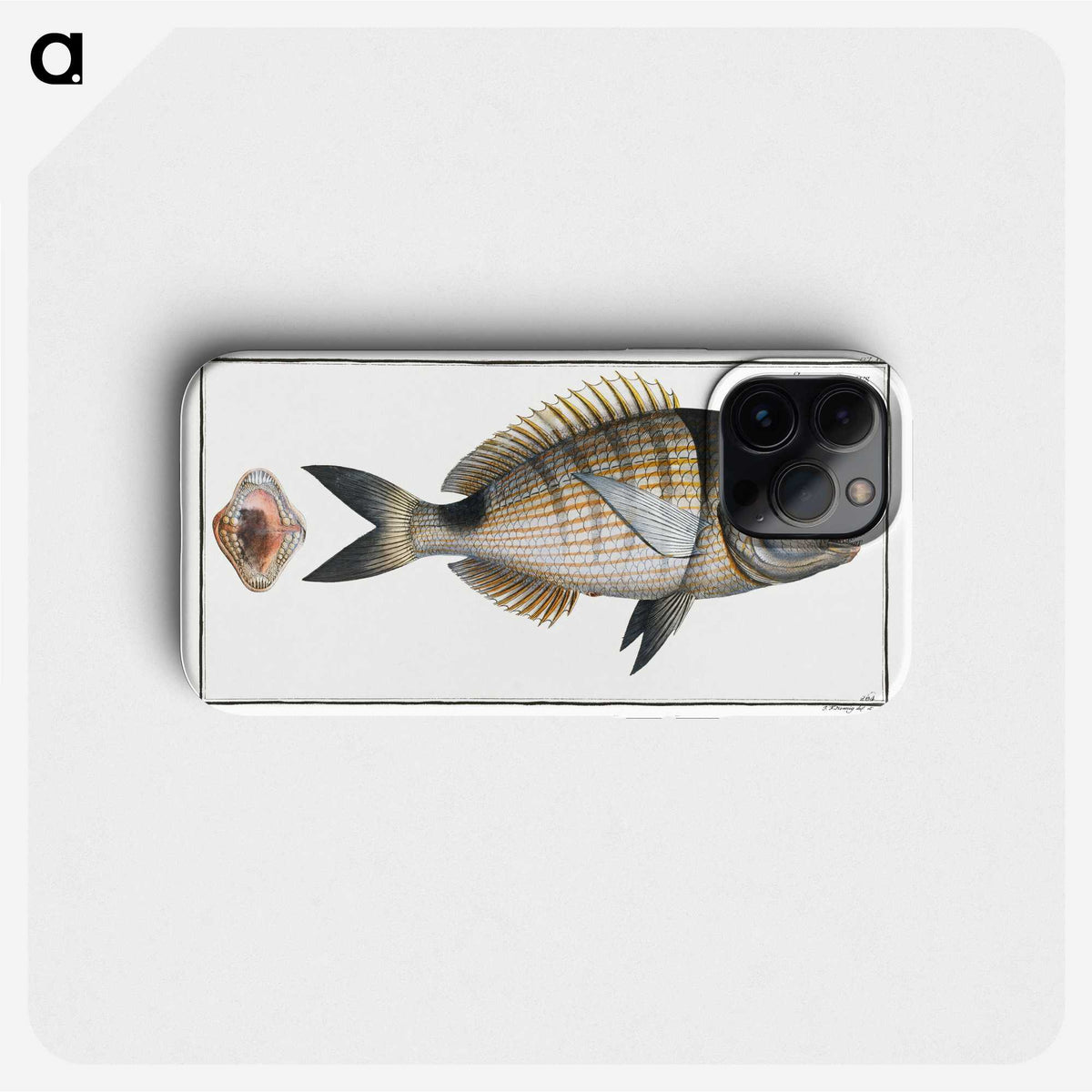 2-90_Ichtyologie-ou-Histoire-naturelle_phone