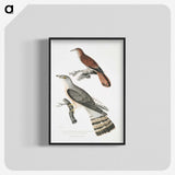 2-90_Indian-Zoology_blk-crop