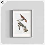 2-90_Indian-Zoology_blk