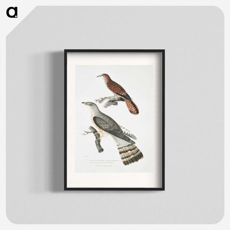 2-90_Indian-Zoology_blk