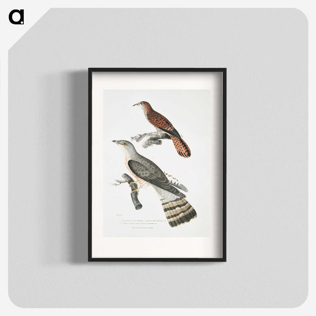2-90_Indian-Zoology_blk