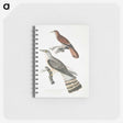 2-90_Indian-Zoology_memo