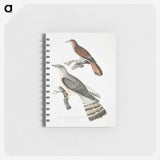 2-90_Indian-Zoology_memo