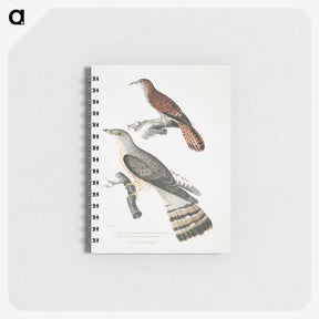 2-90_Indian-Zoology_memo
