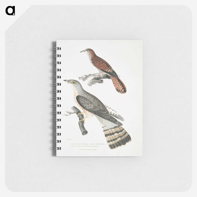 2-90_Indian-Zoology_memo