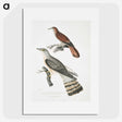 2-90_Indian-Zoology_picture