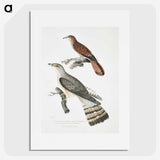 2-90_Indian-Zoology_picture