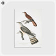 2-90_Indian-Zoology_postcard