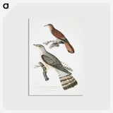 2-90_Indian-Zoology_postcard
