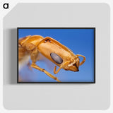 2-90_Insects-Unlocked-Project_blk-crop