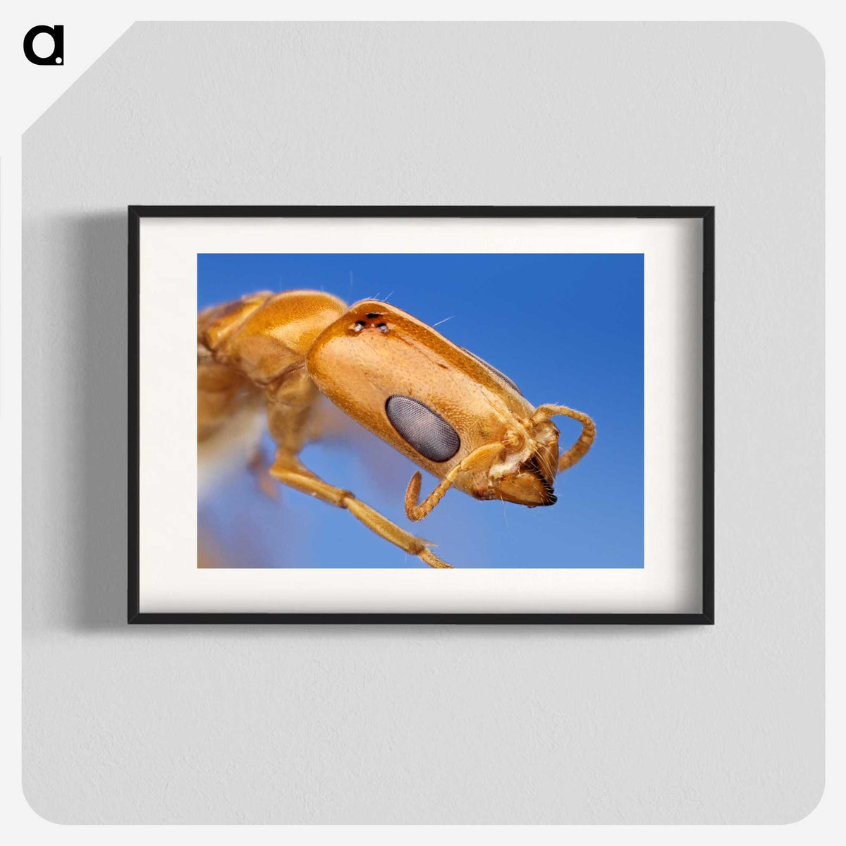 2-90_Insects-Unlocked-Project_blk